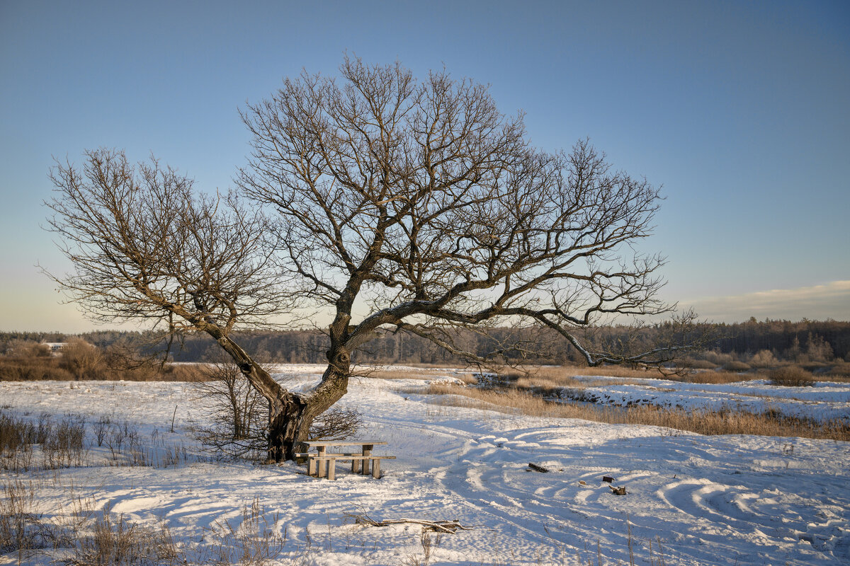 Место отдыха на отдыхе - Валерий VRN