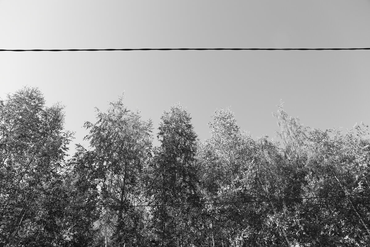 Фотография - Денис Безногов