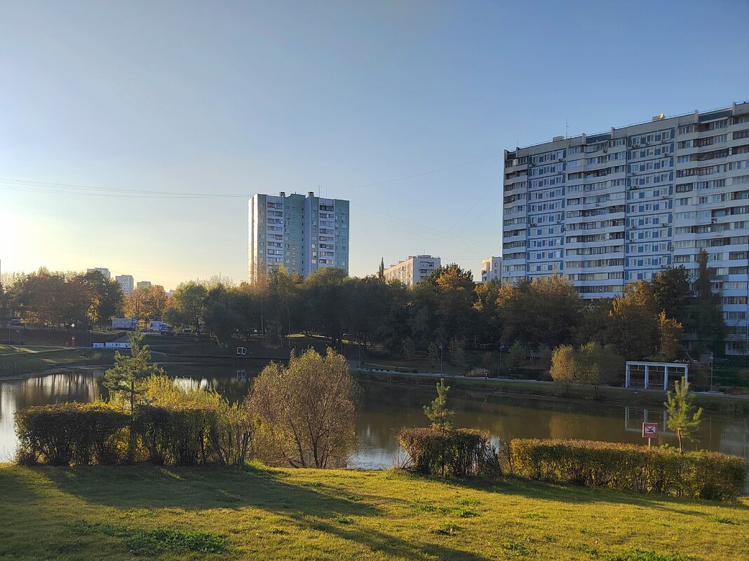 Пруд в московском парке - Фотогруппа Весна Пруд в московском парке - Фотогруппа Весна
