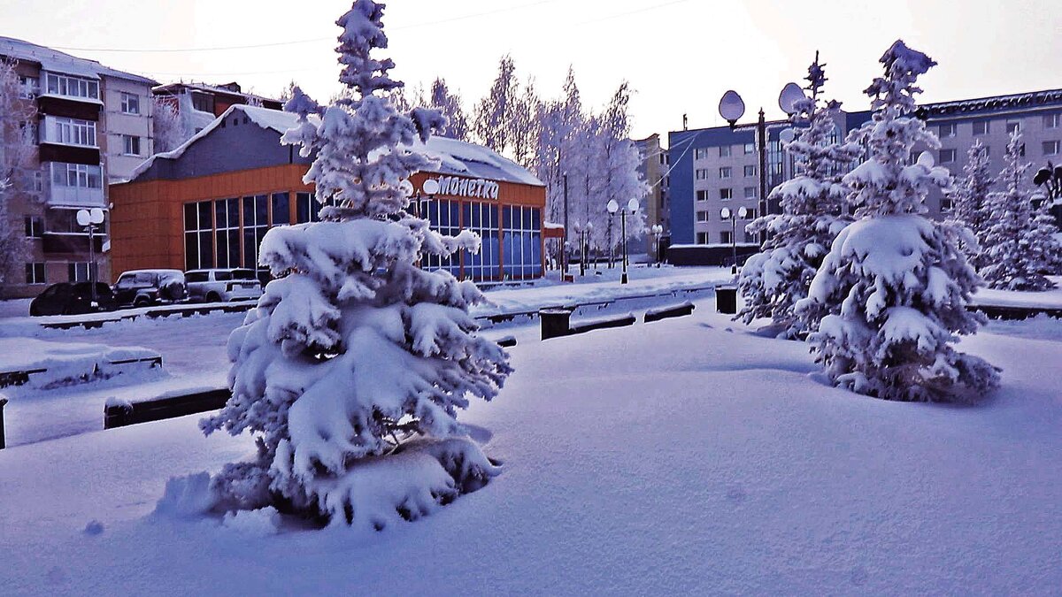 Январь..Снежно-морозный этюд с елочками! - Владимир 
