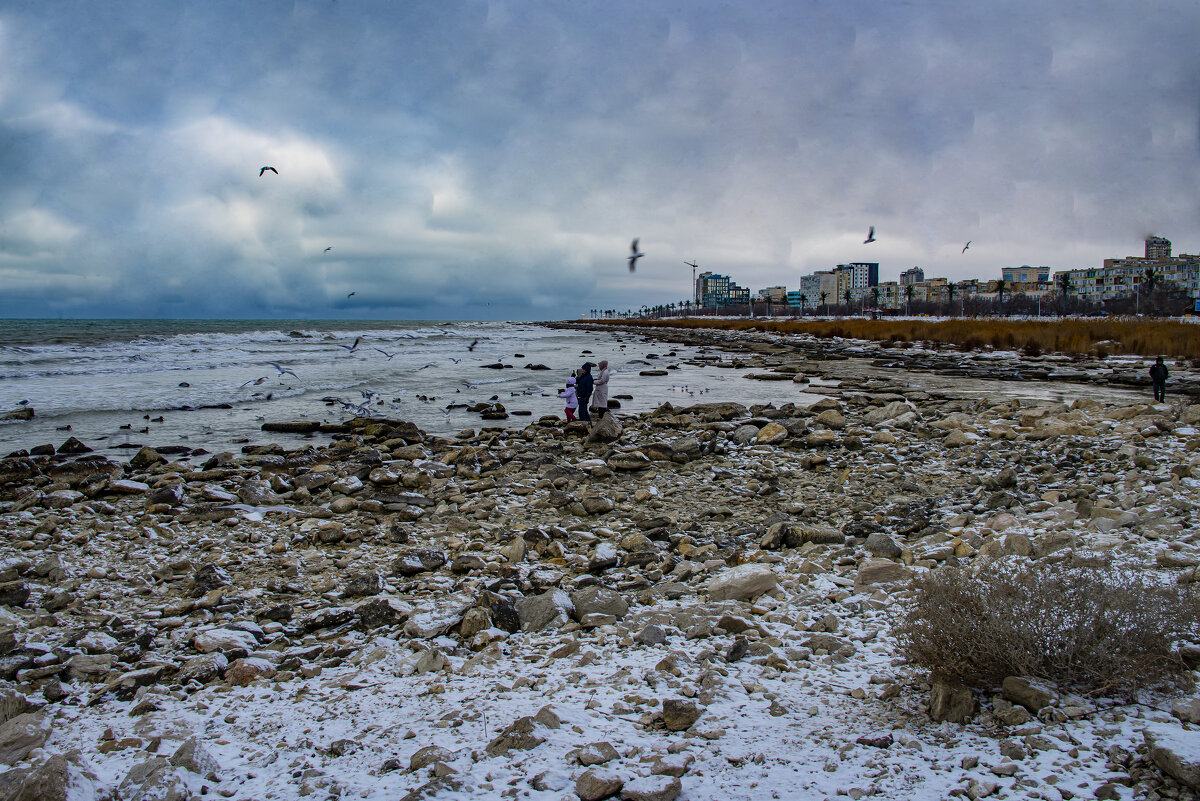 Берег - Анатолий Чикчирный