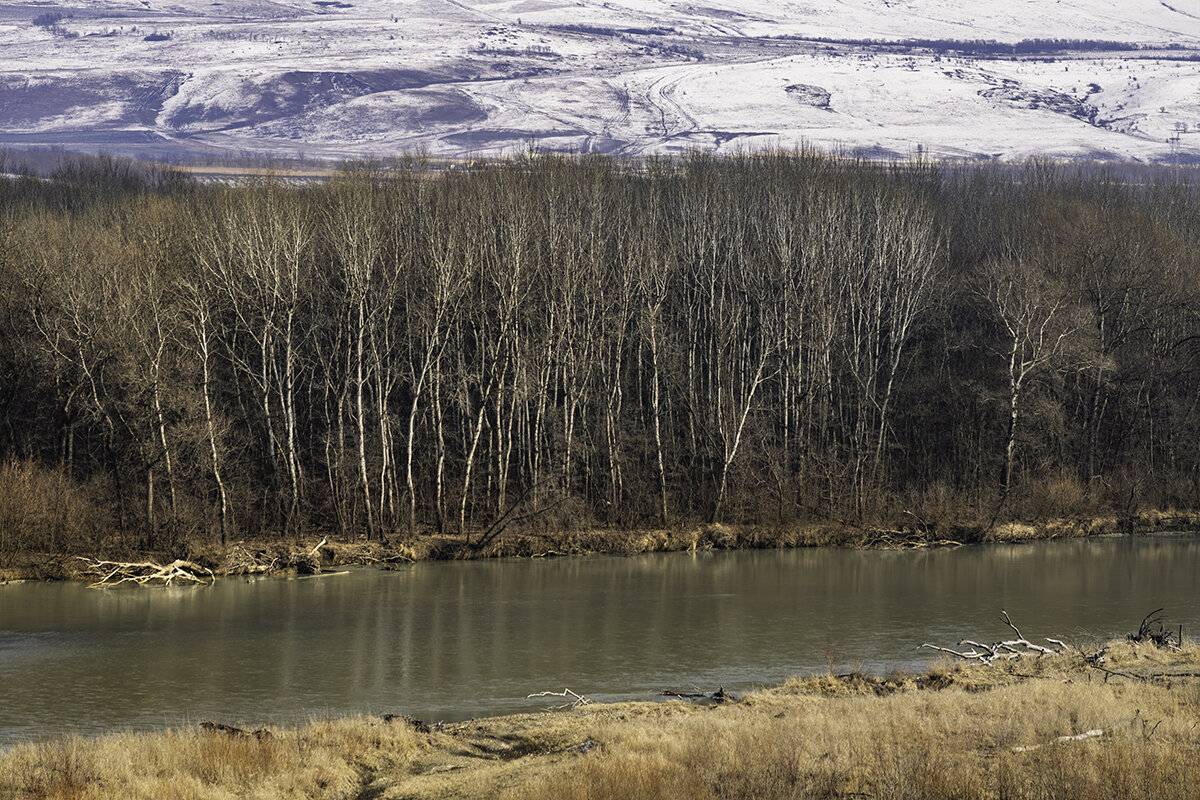 Река Кубань - Игорь Сикорский
