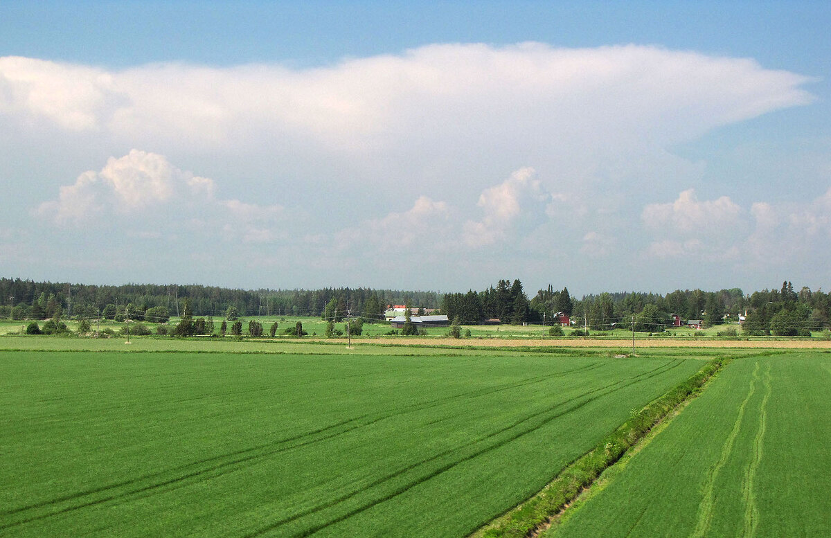 Вблизи местечка Лянсикюля - Александр Ильчевский Вблизи местечка Лянсикюля - Александр Ильчевский