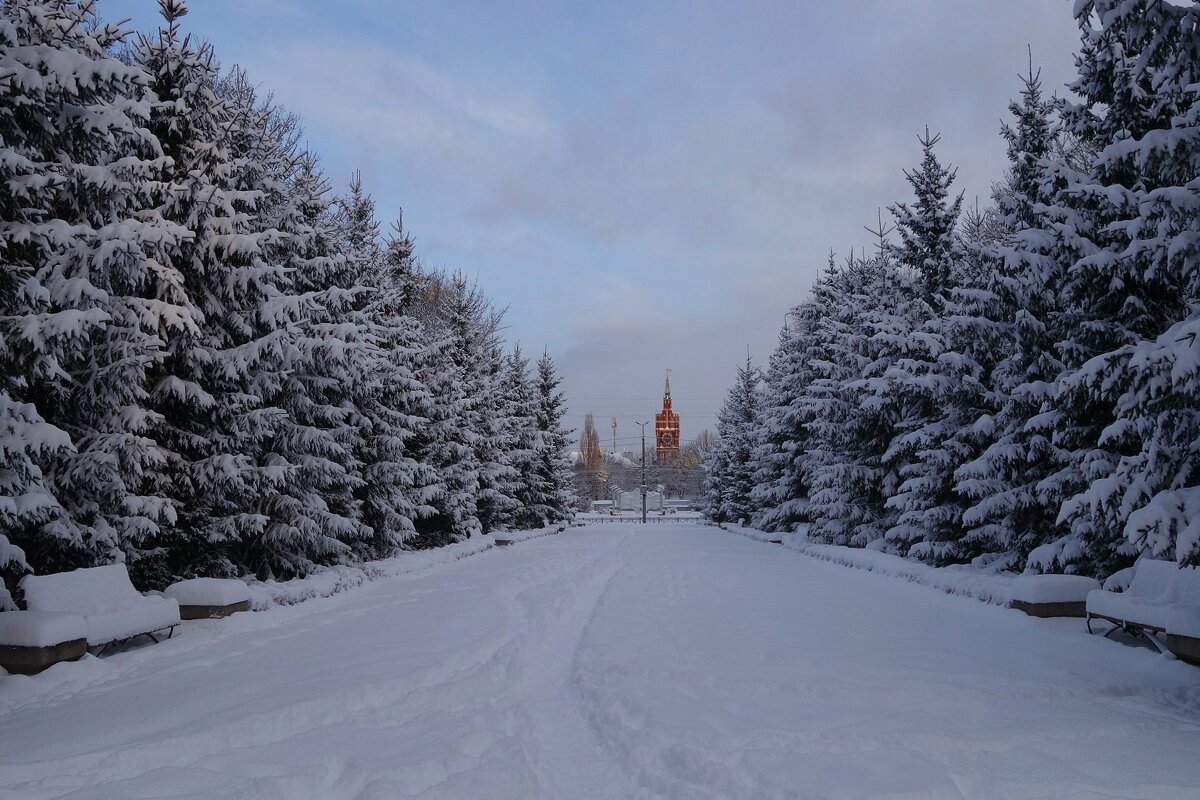 Парк Южный, Калининград - Рита Симонова Парк Южный, Калининград - Рита Симонова