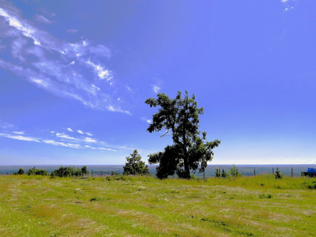 Белогорье летом - Лариса С.