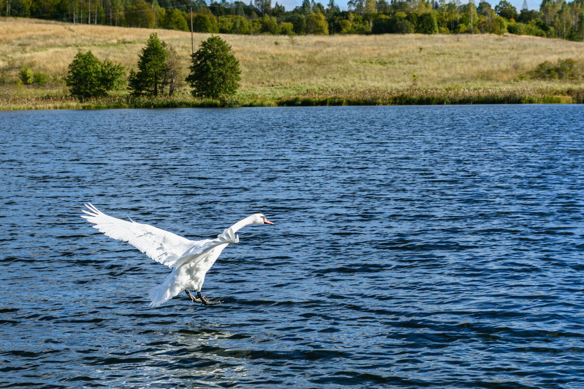 За секунду до приводнения - Александр Тихомиров За секунду до приводнения - Александр Тихомиров