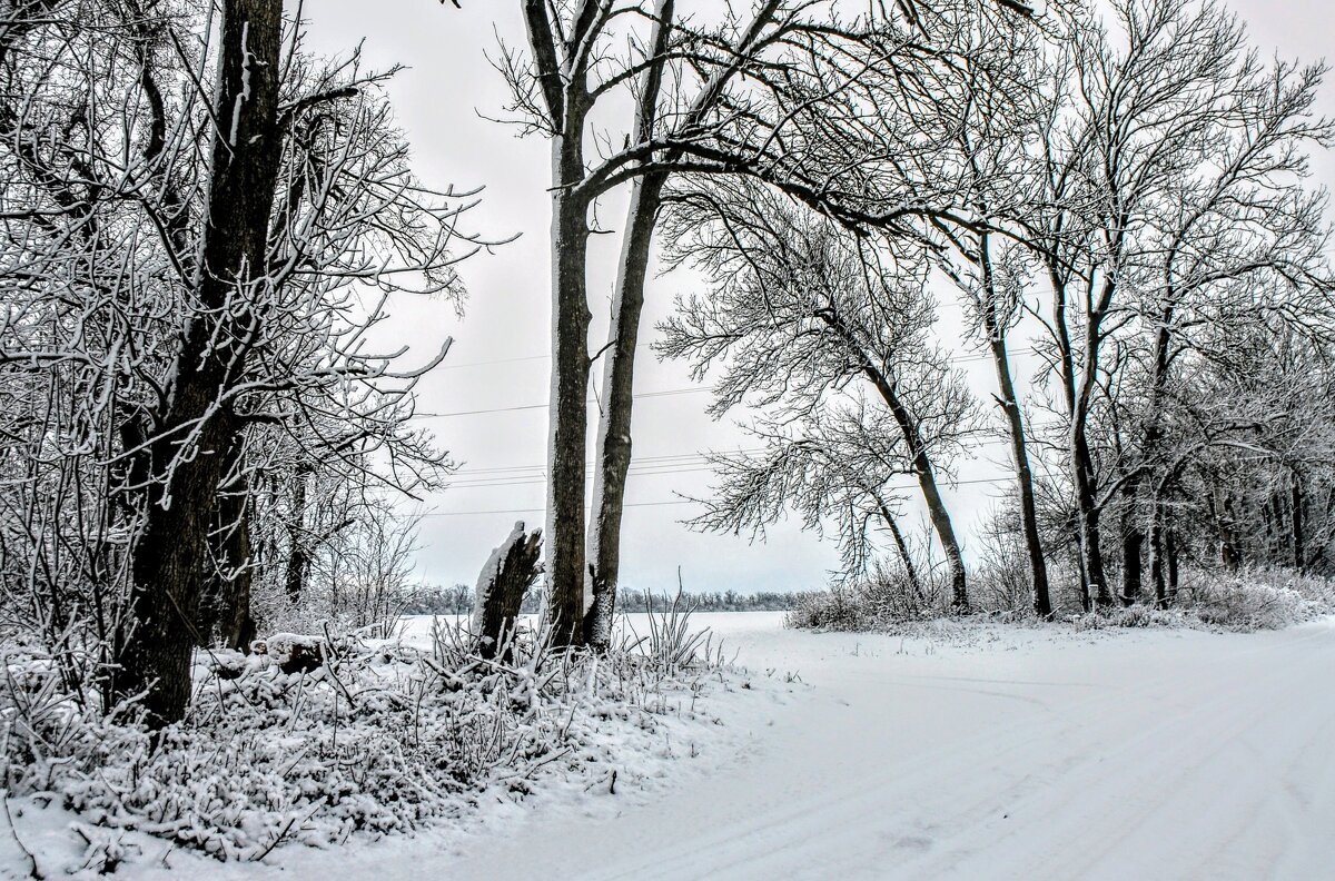 Январь. - Владимир Январь. - Владимир