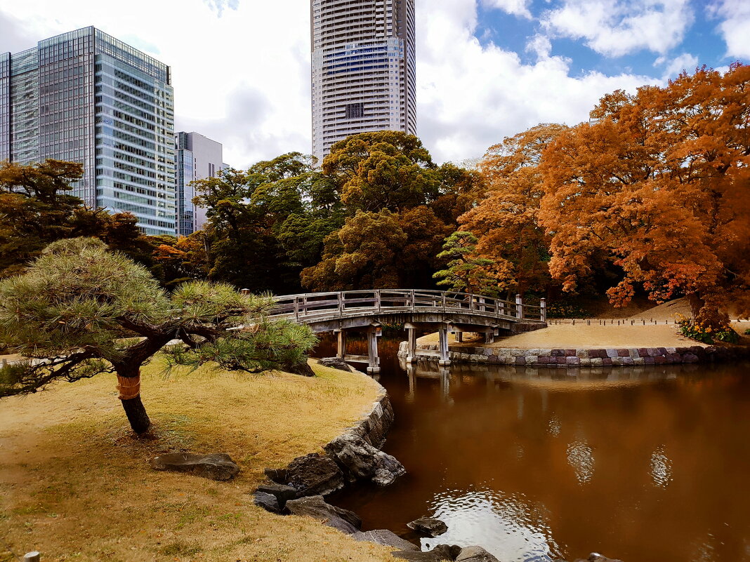 Токио - Civetta ***