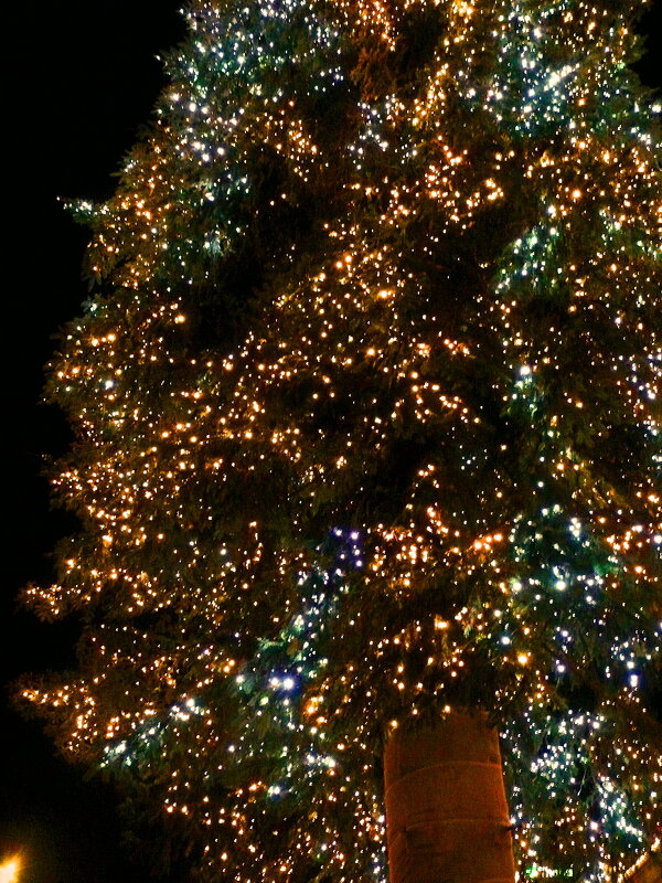 Рождество в Штутгарте - 23 - Алексей Кузнецов