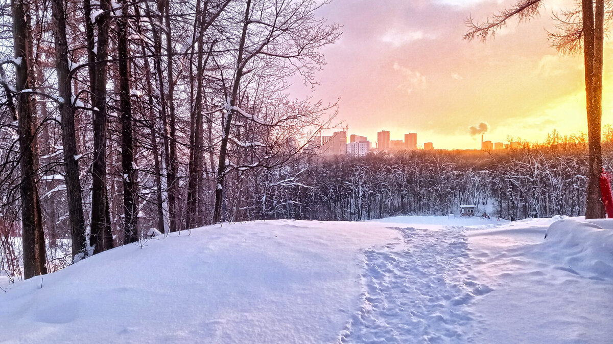 Зимний закат - Nina Karyuk Зимний закат - Nina Karyuk