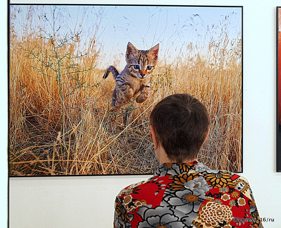 найти своих - Олег Лукьянов