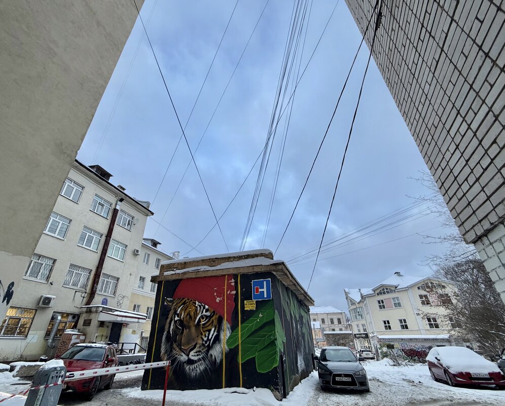 Дворик в Твери - Любовь 