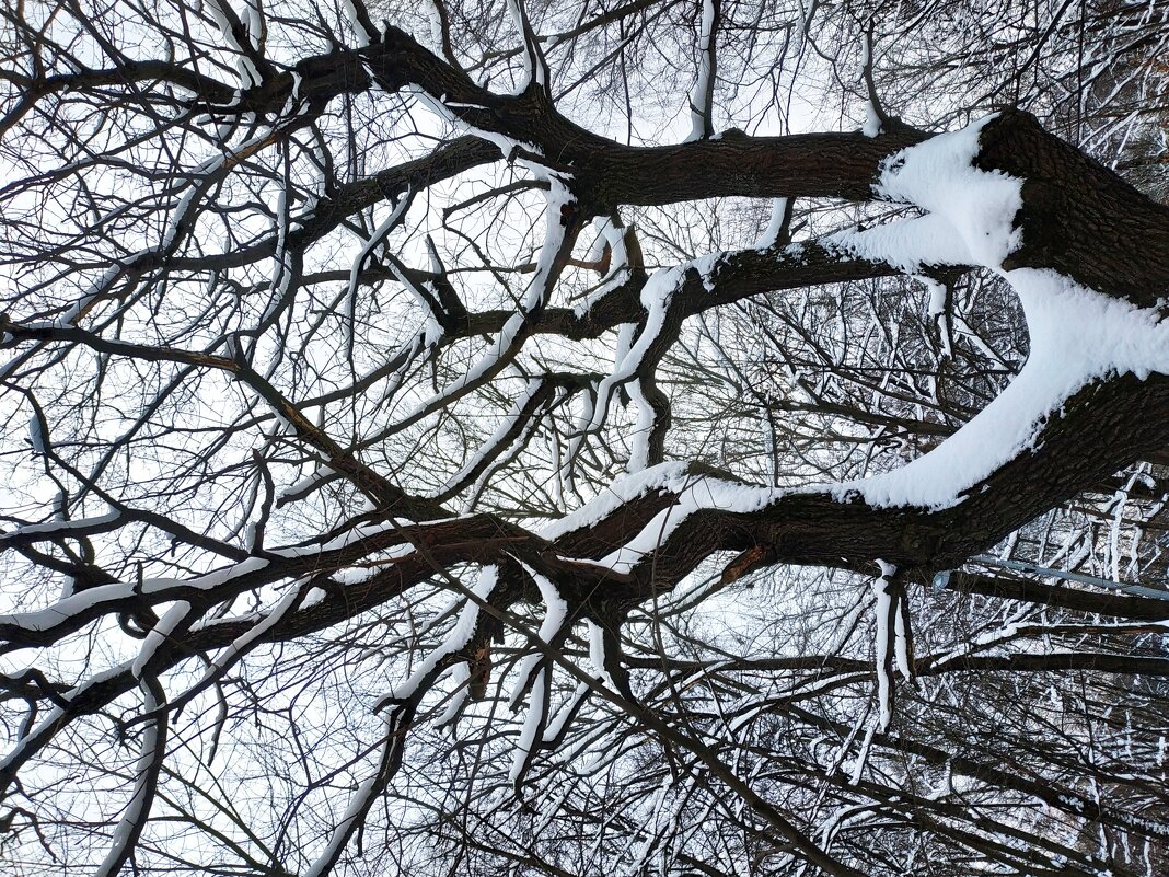 О сложности жизни :-) - Андрей Лукьянов