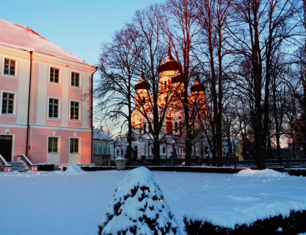 В Губернаторском саду(Лоссиаэд-дворцовый сад) - Aida10 