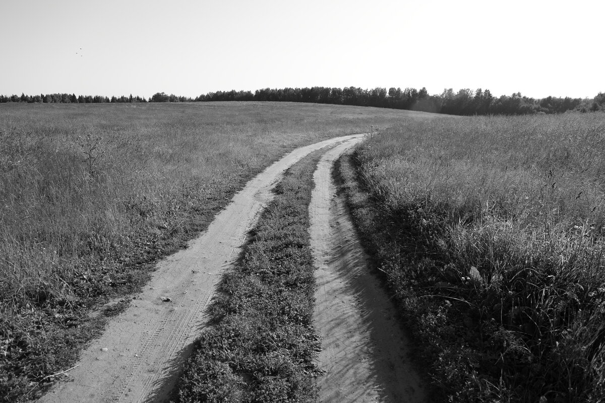 Фотография - Денис Безногов