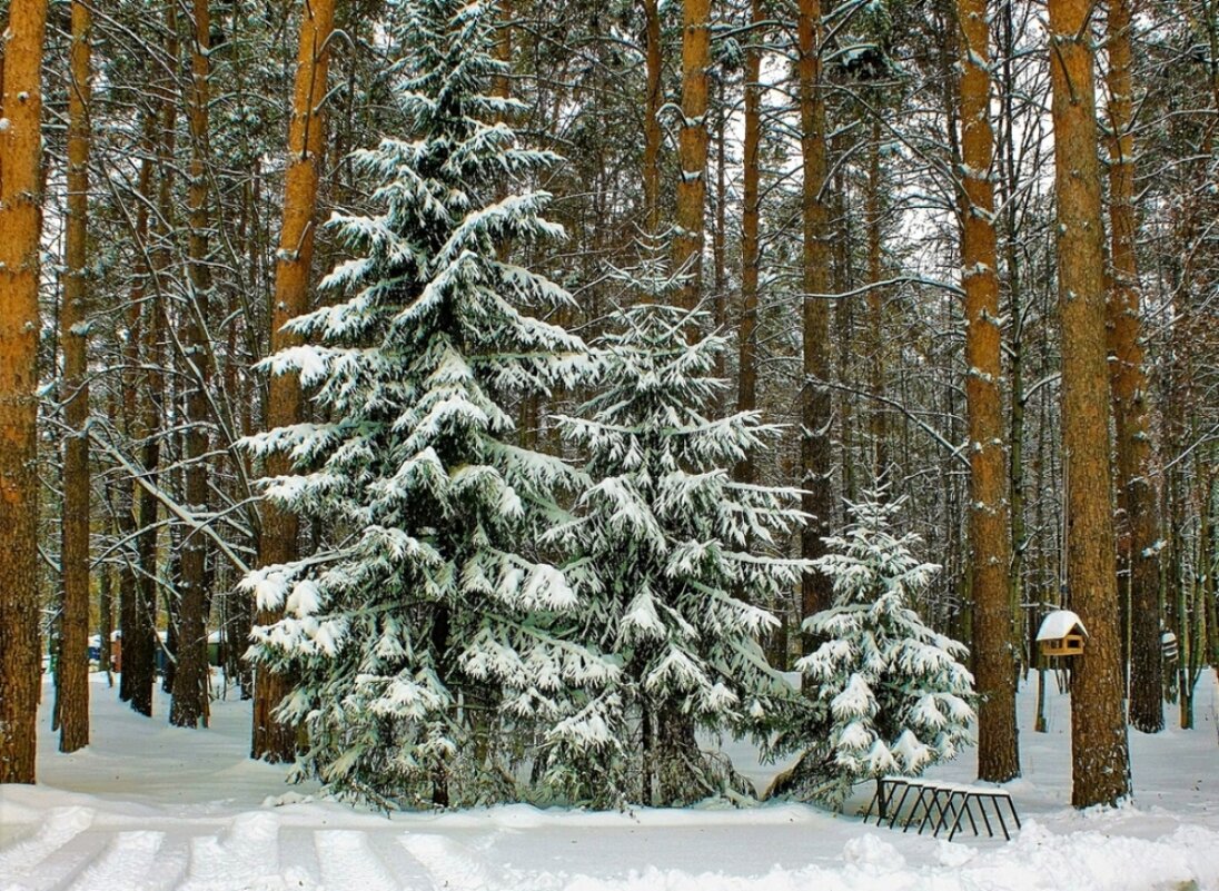 В городском парке - Галина Нестратова