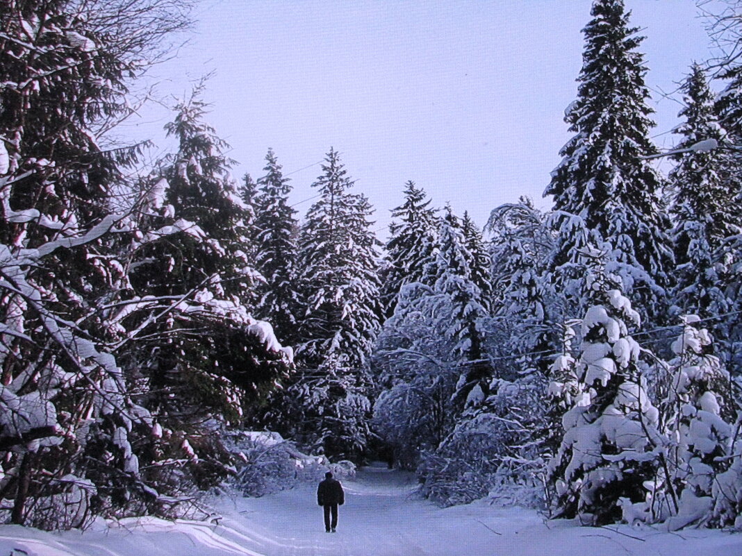 В лесу - Людмила Смородинская