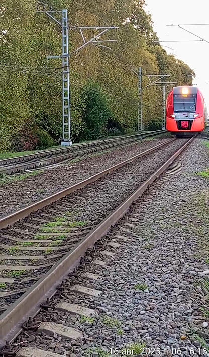 Ласточка - Serega SchütZ