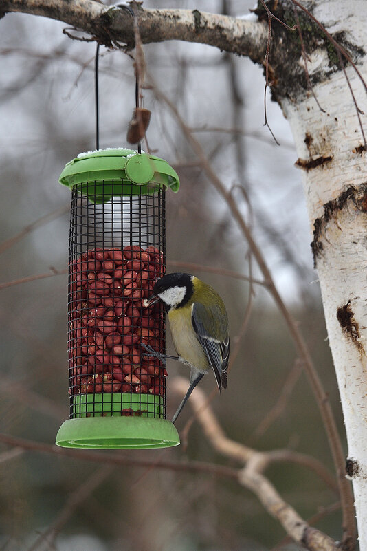 Нашла! Моё! - Александр Гриднев