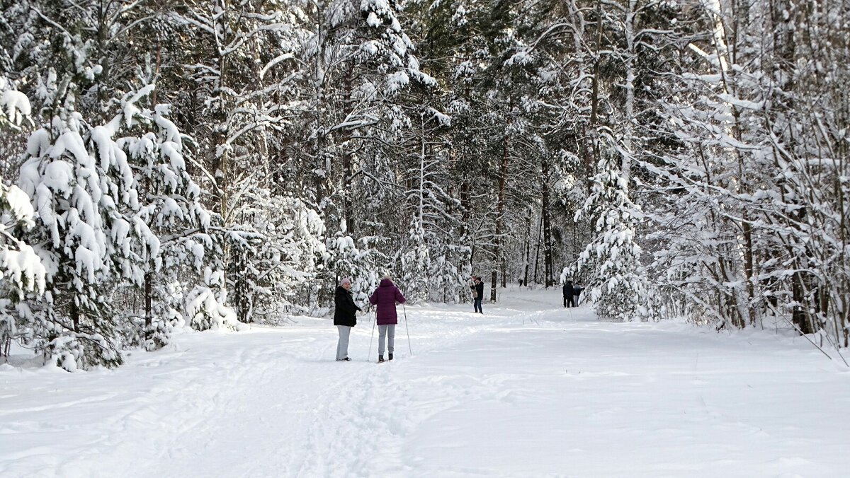 Зима в январе. - Милешкин Владимир Алексеевич 