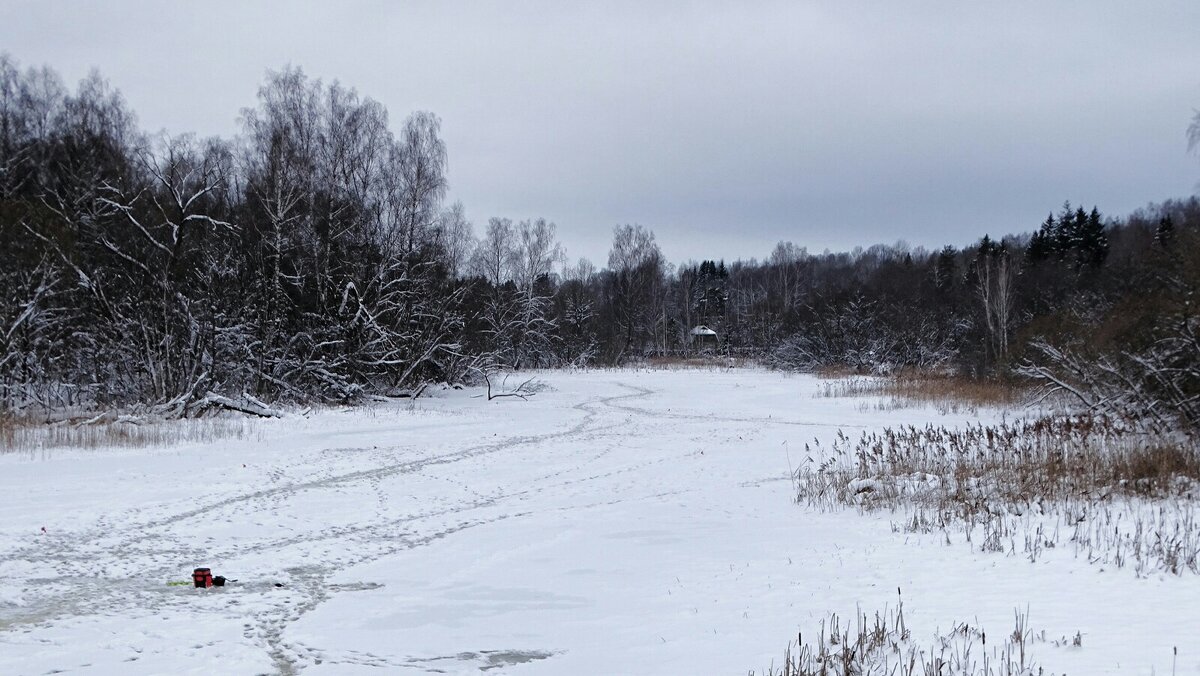 Наследили рыбаки (репортаж из поездок по области). - Милешкин Владимир Алексеевич 