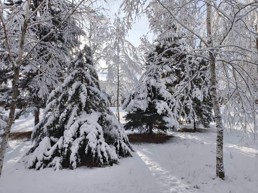 Ёлочки, берёзоньки - Валерий Ткаченко