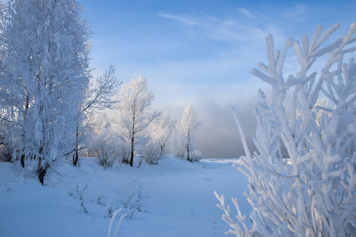 Серебро зимы - Владимир Звягин Серебро зимы - Владимир Звягин
