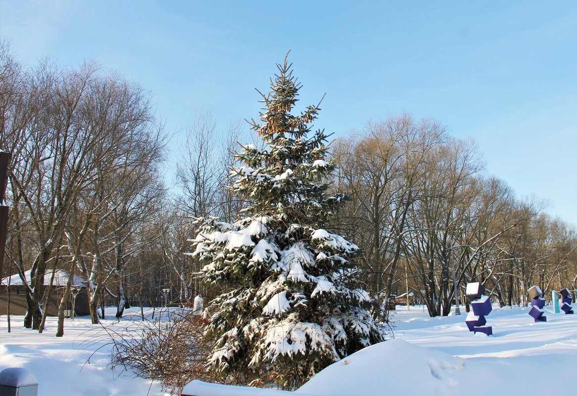 ЕЛОЧКА КРАСАВИЦА ПОД СНЕЖНЫМ ПОКРОВОМ - Валентина ЕЛОЧКА КРАСАВИЦА ПОД СНЕЖНЫМ ПОКРОВОМ - Валентина