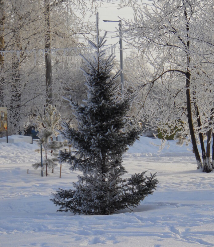 Зима,холода... - nadyasilyuk Вознюк Зима,холода... - nadyasilyuk Вознюк