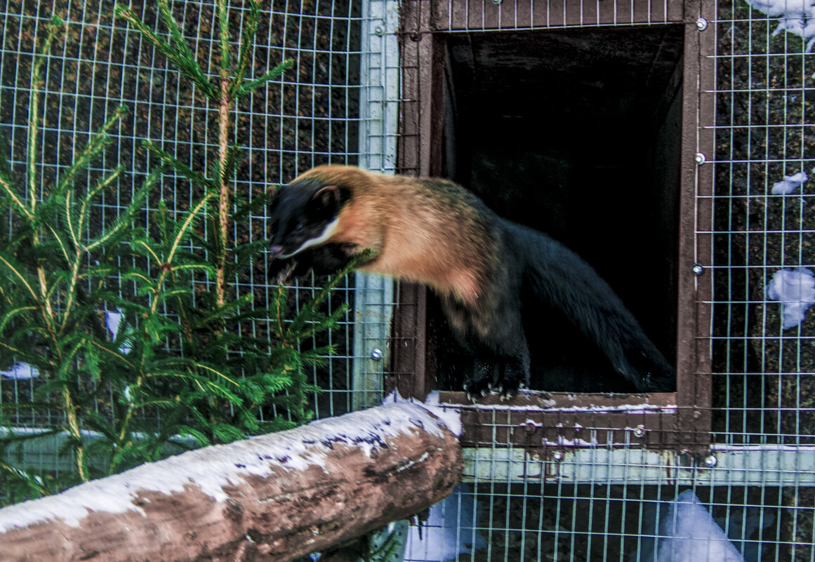 ОХ, Я тоже пошёл на ДЕЛО - Владимир Максимов ОХ, Я тоже пошёл на ДЕЛО - Владимир Максимов