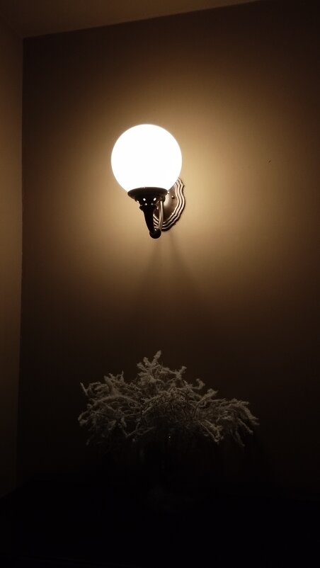 В кулуарах... - Наталья Вязигина