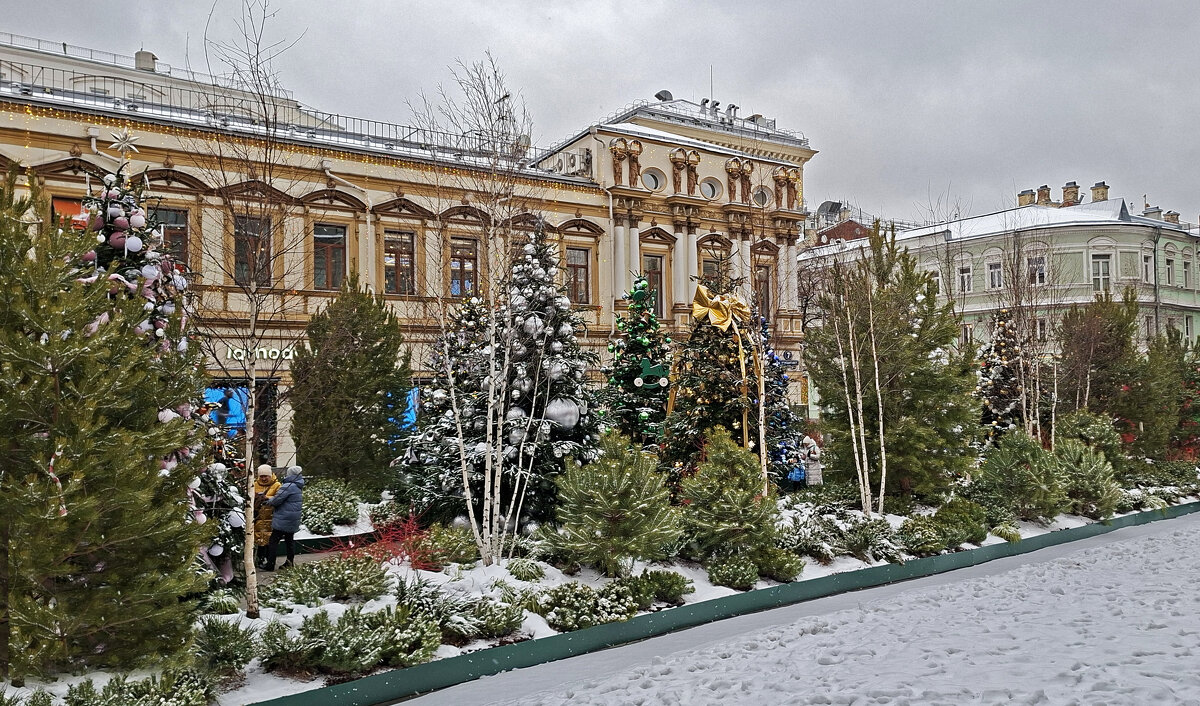 Кузнецкий лес - ИРЭН@ . Кузнецкий лес - ИРЭН@ .