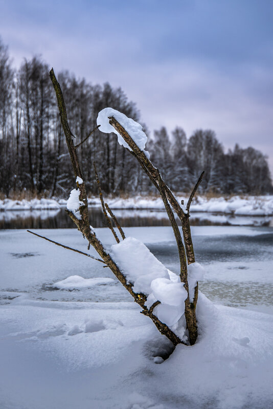 На болоте - Владимир На болоте - Владимир