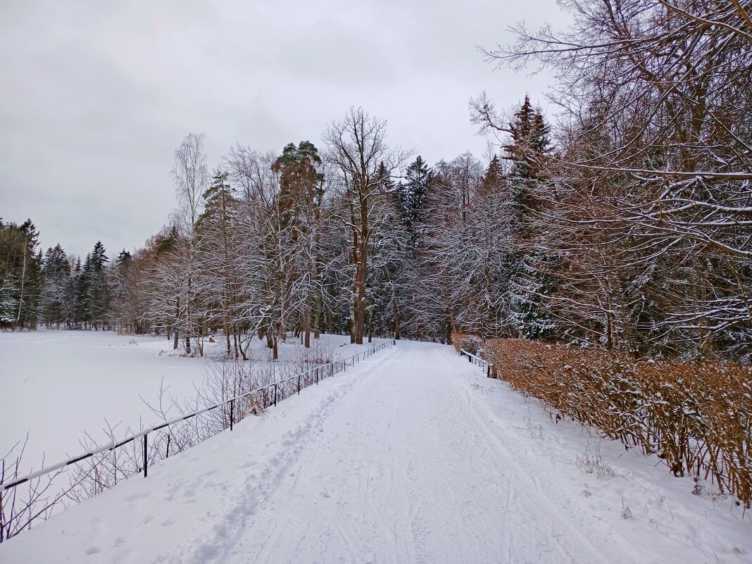 Мороз без солнца, но чудесно :-) - Лия ☼