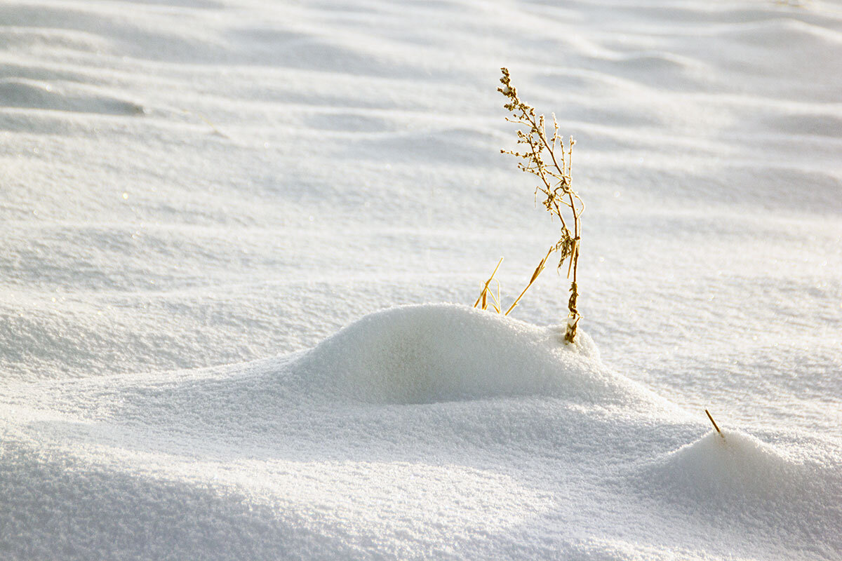 Один в поле - Александр Трухин
