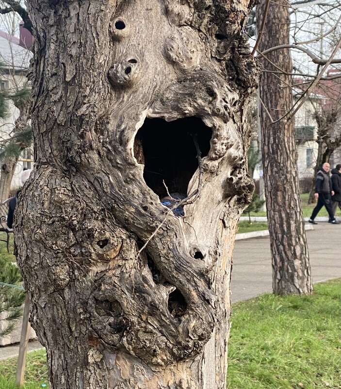 Вокал ! - Alexey YakovLev Вокал ! - Alexey YakovLev