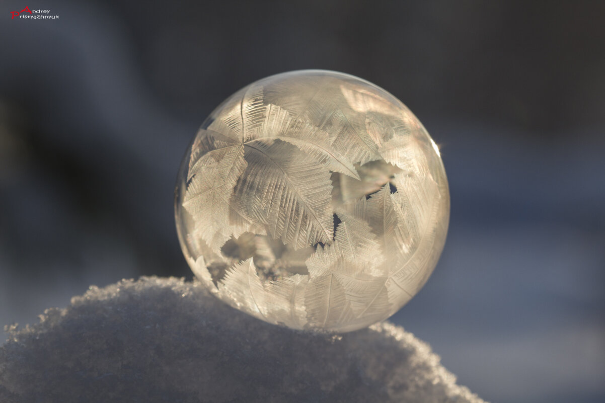 Пузырь на снегу - Андрей Пристяжнюк