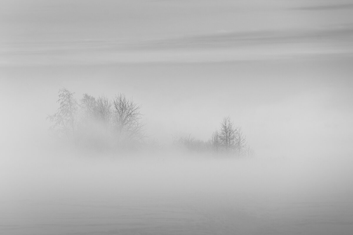 Зимний туман - Максим Вышарь