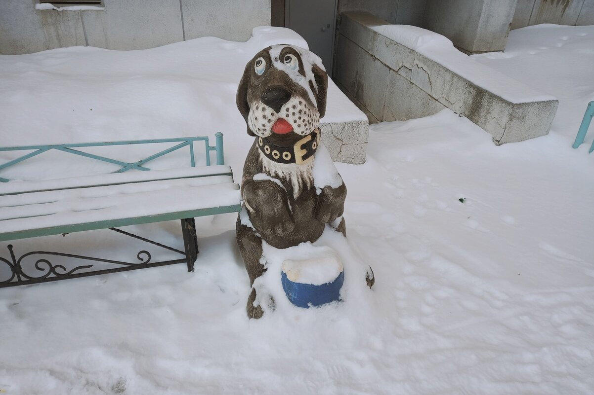 Памятник барбосу - Игорь Солдаткин