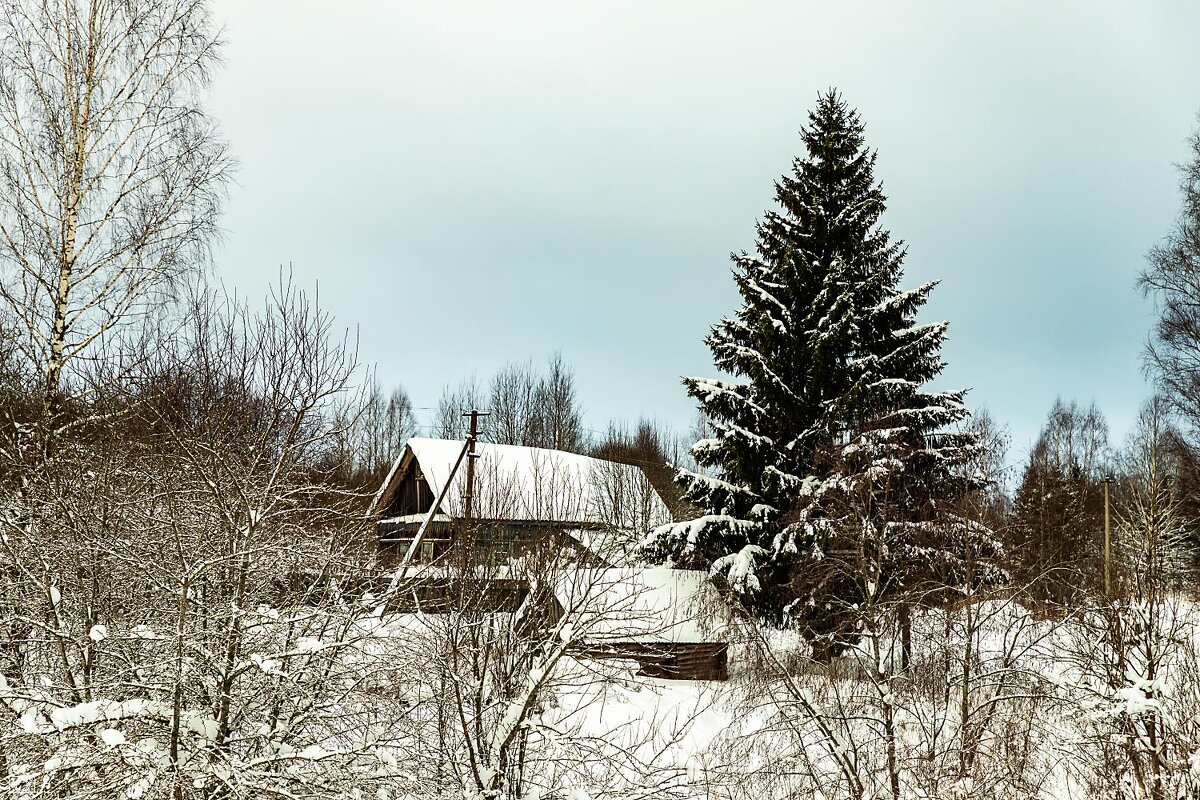 Зима в деревне - Александр 