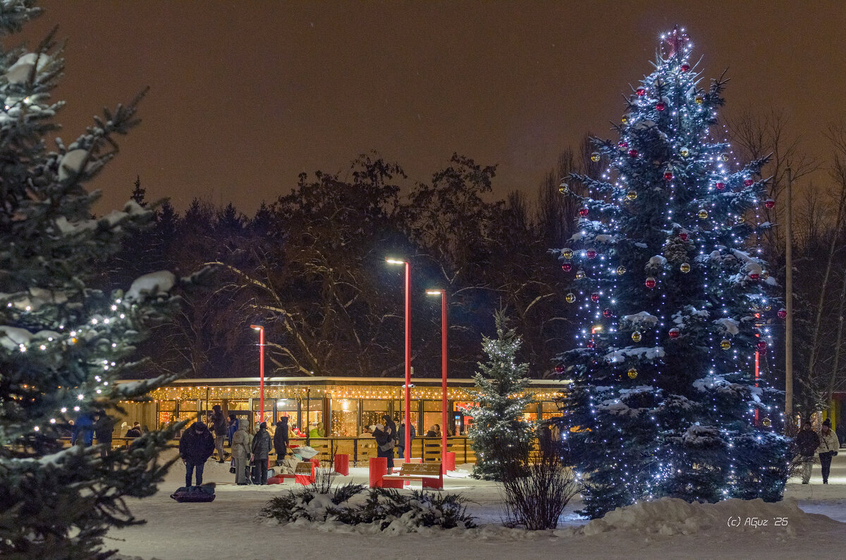 Праздничное настроение... - Andrej Guz