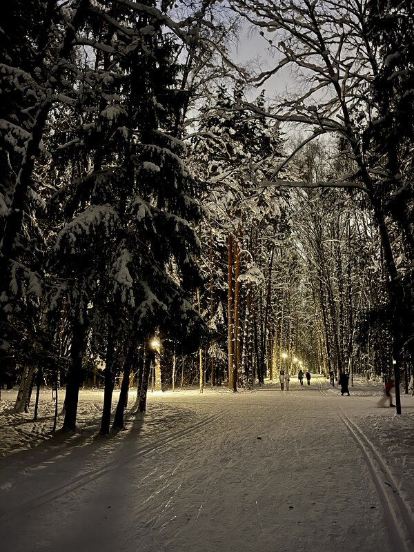 Январь лыжня - Александр Конов Январь лыжня - Александр Конов