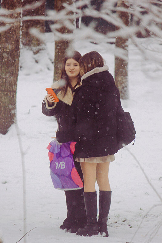 Подруги - Сергей Кочнев