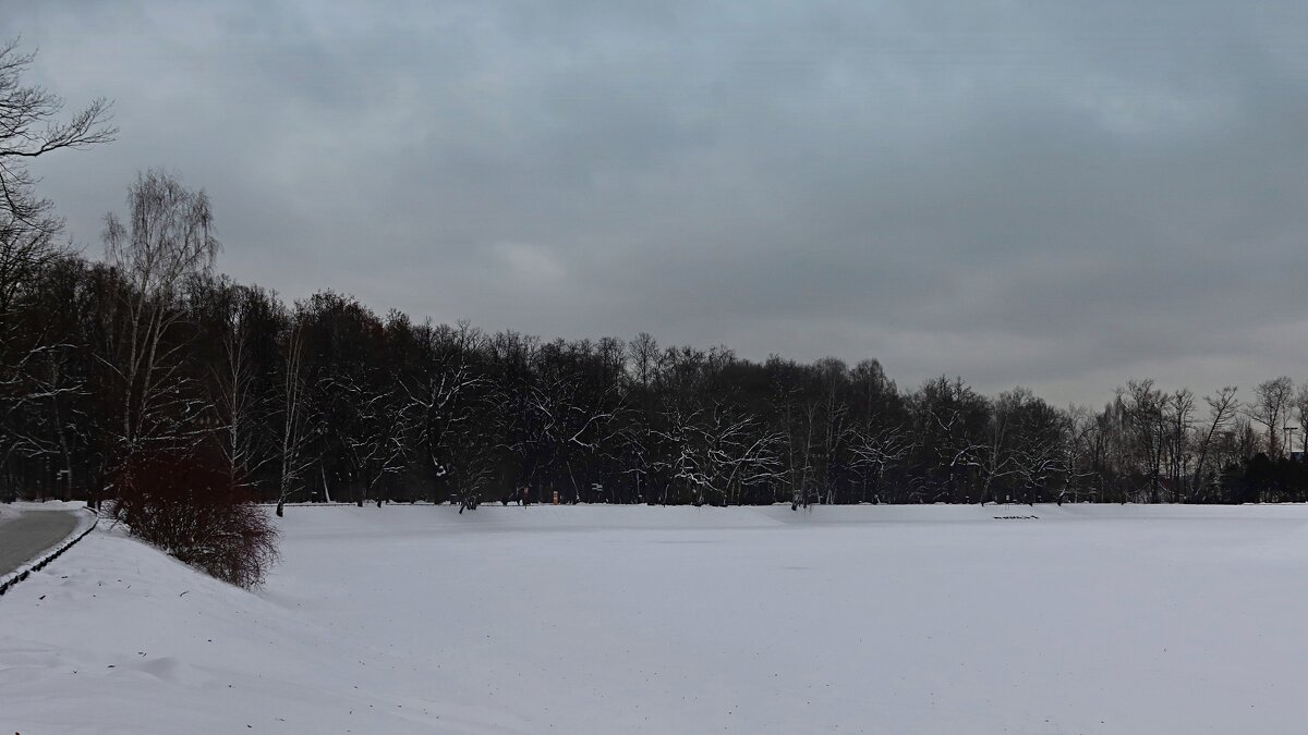 Садовый пруд - Дмитрий И_