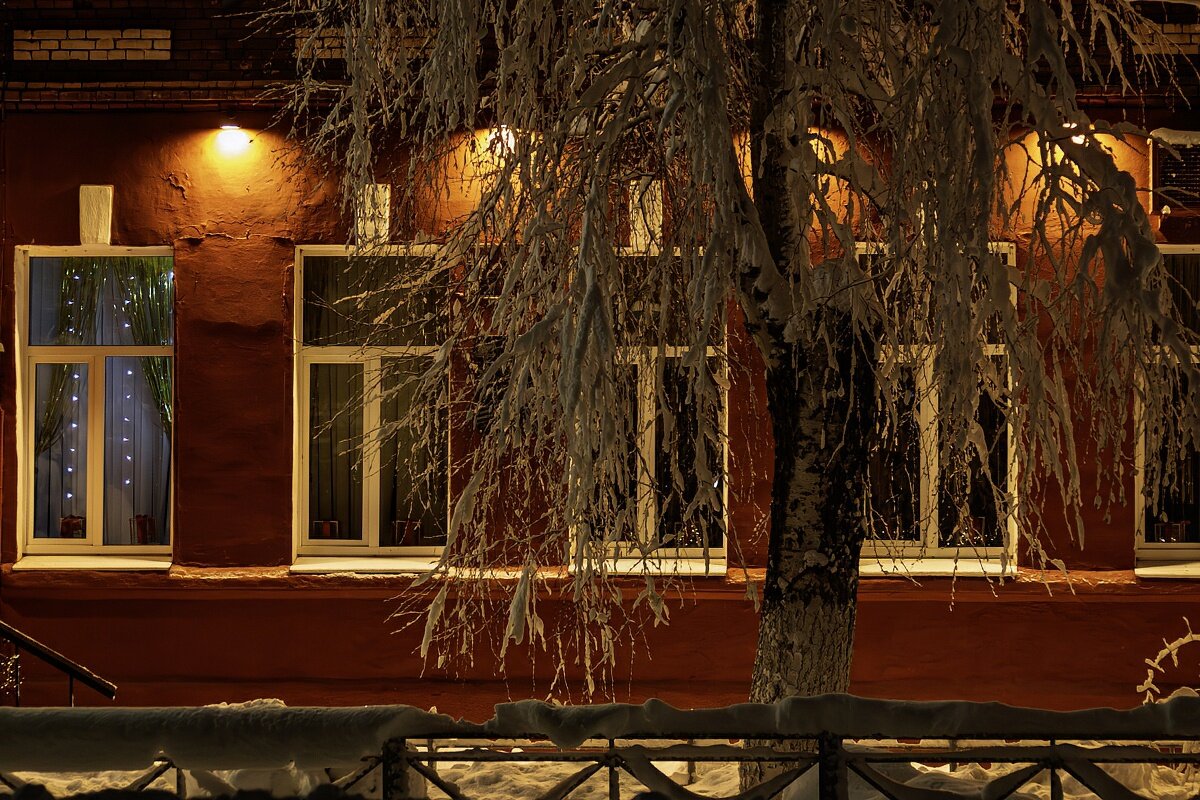 В Новогоднюю ночь - Игорь Сикорский В Новогоднюю ночь - Игорь Сикорский