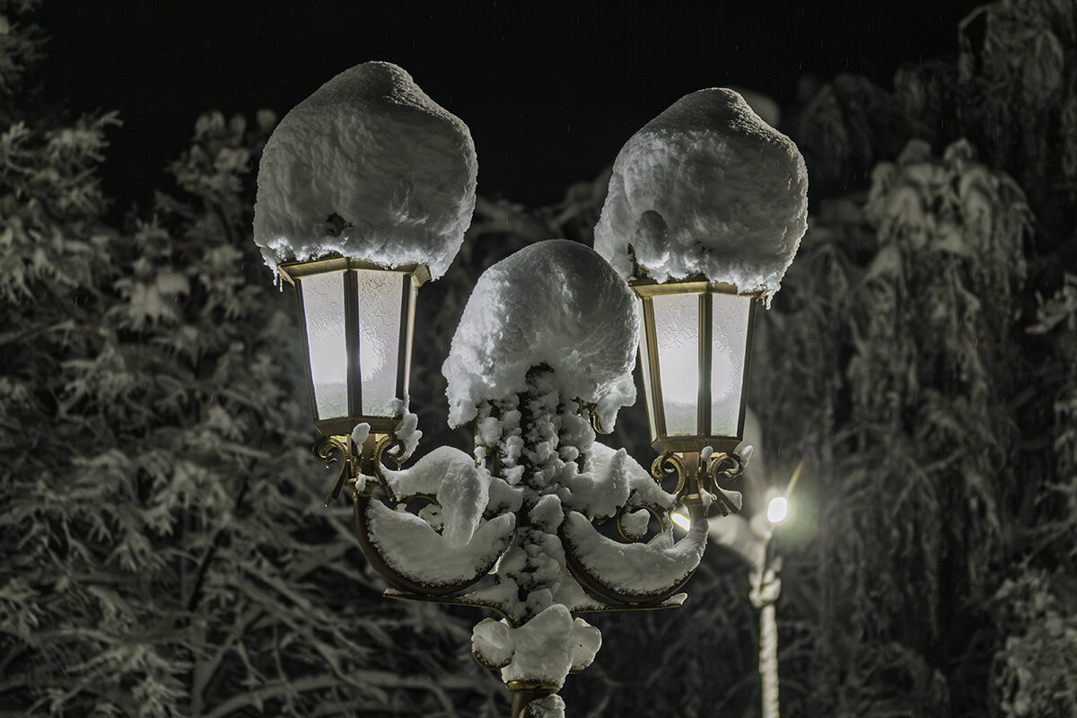 В новогоднюю ночь - Игорь Сикорский В новогоднюю ночь - Игорь Сикорский