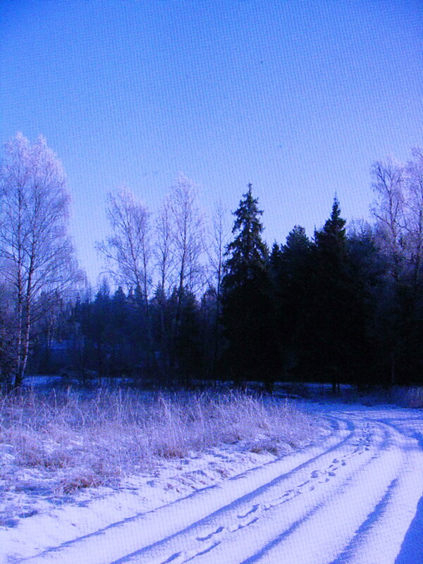Зима - Людмила Смородинская