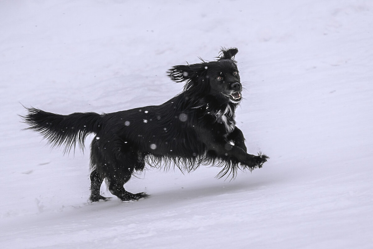 ... - Жора Житников