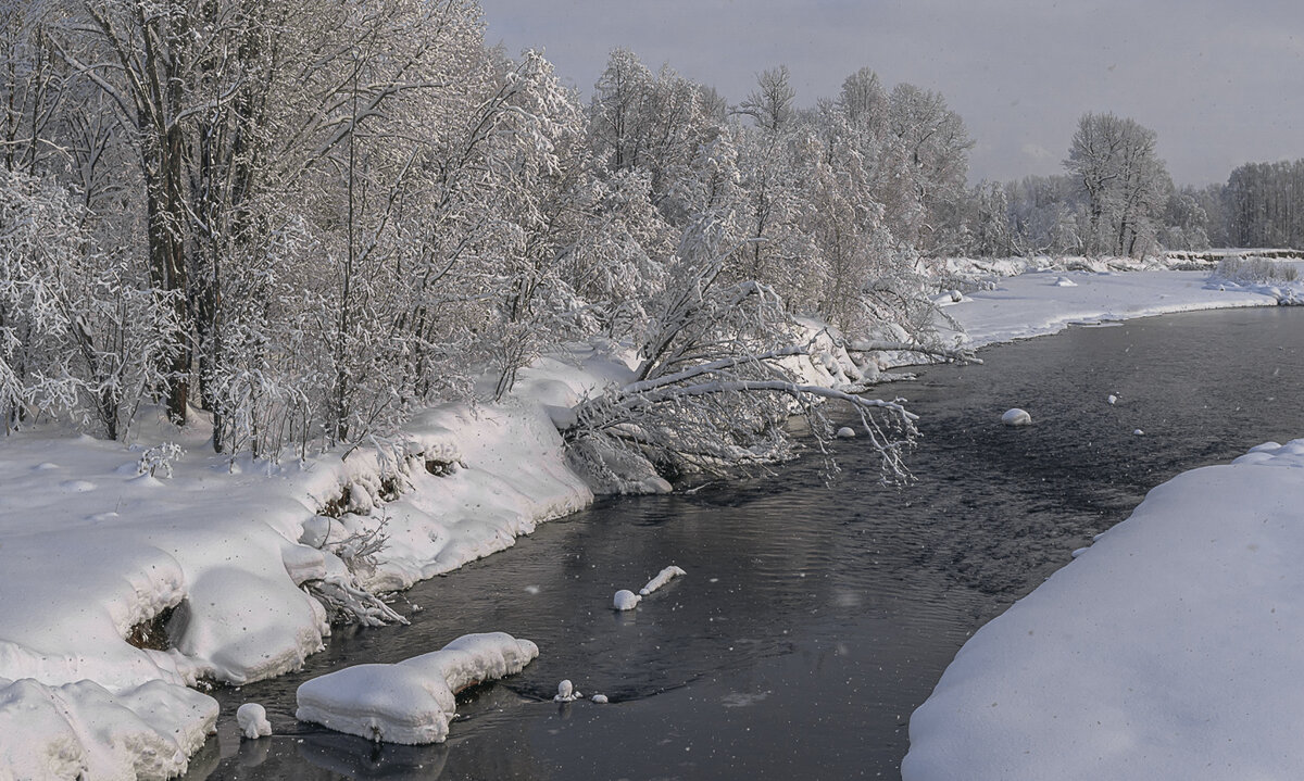 ... - Жора Житников ... - Жора Житников