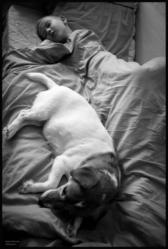 Хранитель снов. - Борис Яковлев